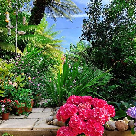 Funky Urban Jungle Bed & Breakfast Cardiff Dış mekan fotoğraf