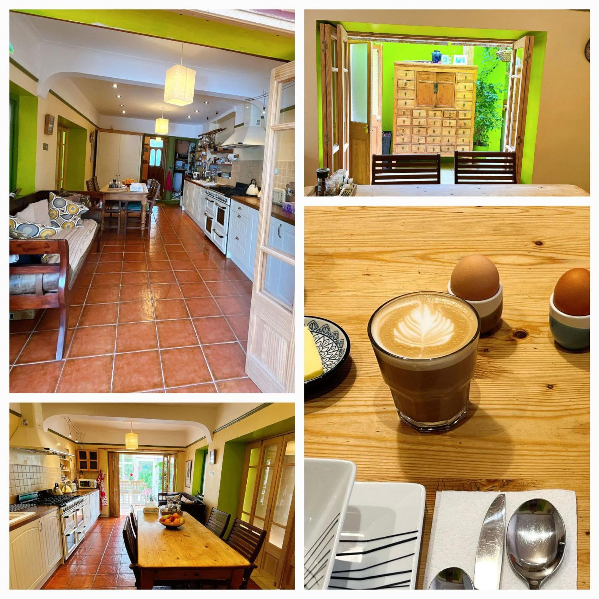 Funky Urban Jungle Bed & Breakfast Cardiff Dış mekan fotoğraf