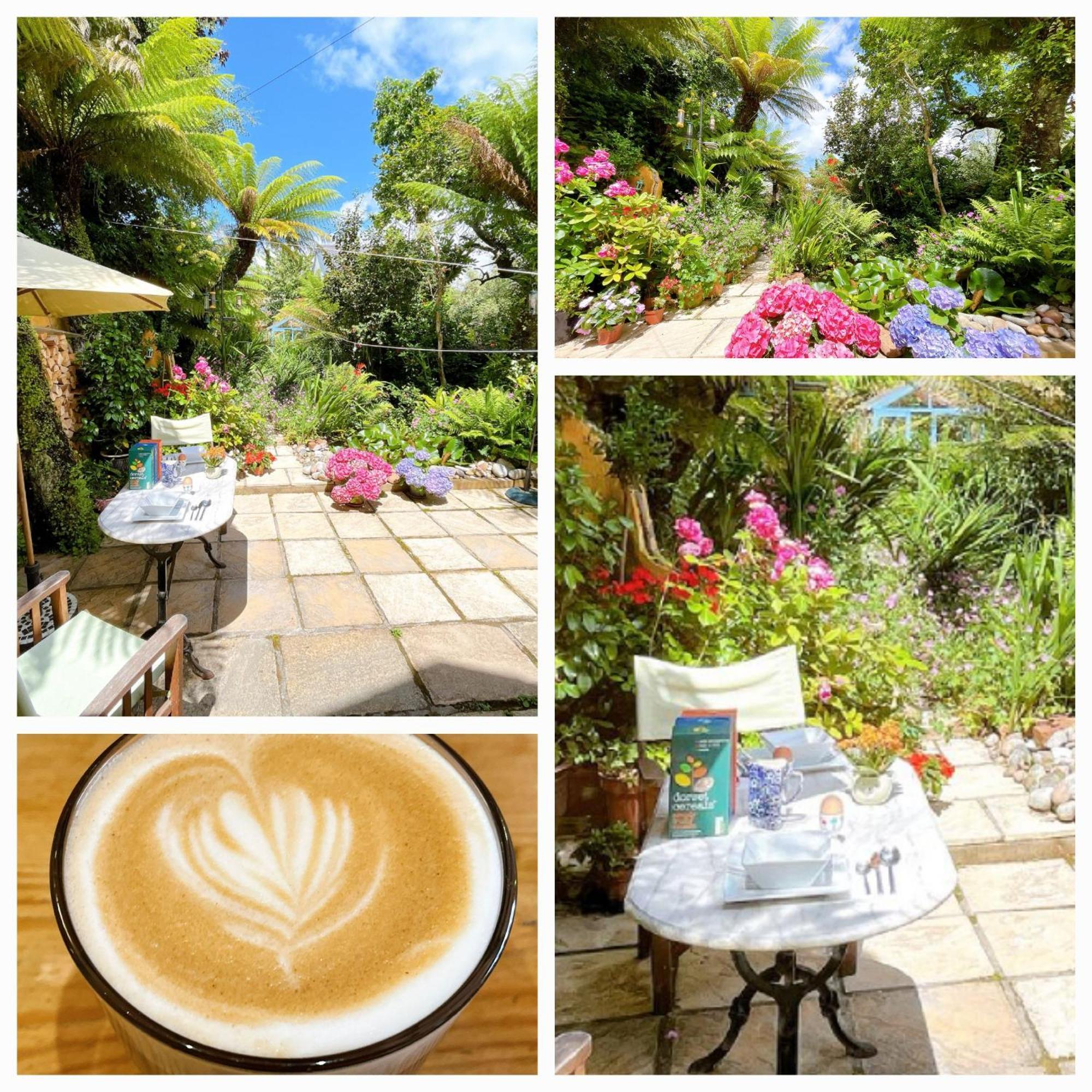 Funky Urban Jungle Bed & Breakfast Cardiff Dış mekan fotoğraf